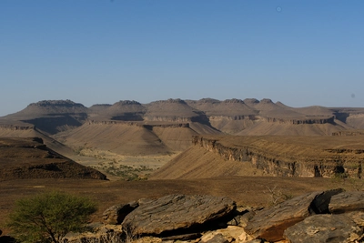 Galeriebild