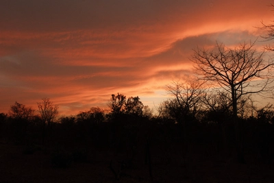 Galeriebild