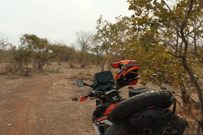 KTM im Park